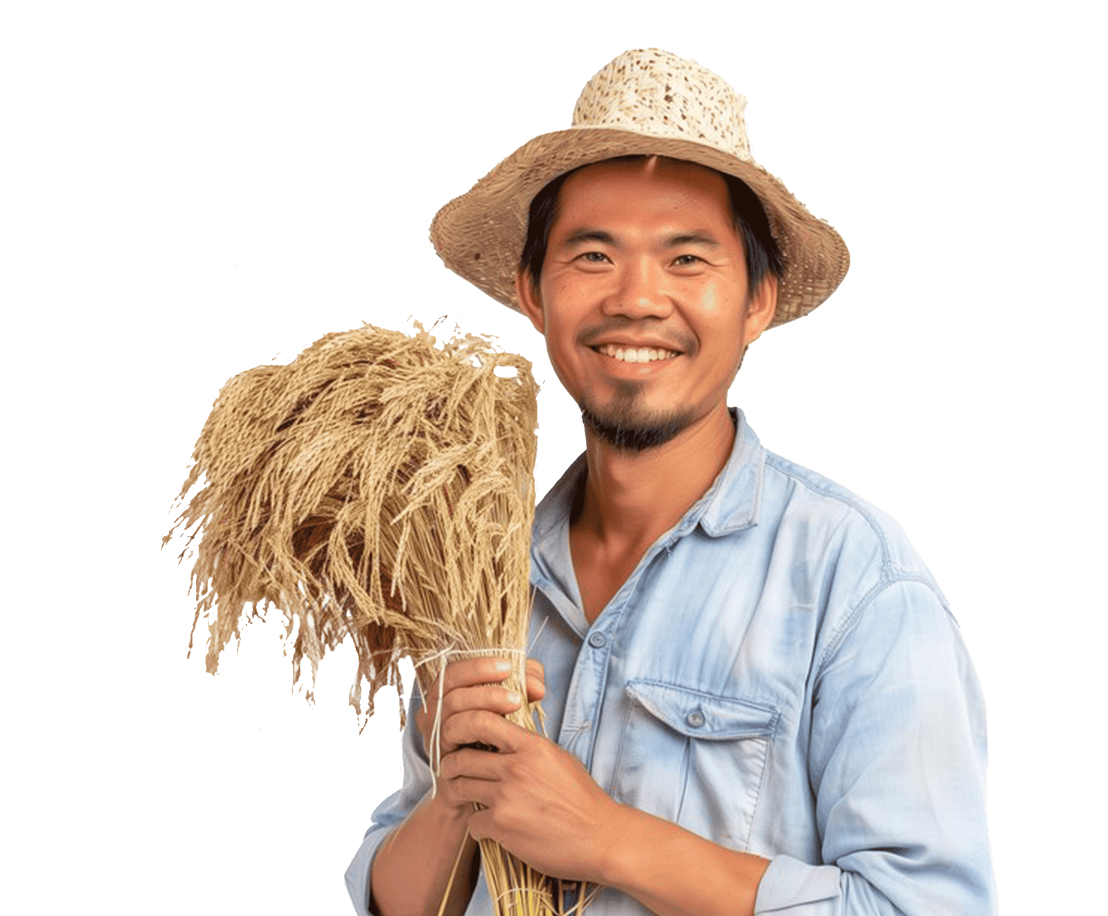 rice-farmer- HanuiT solutions